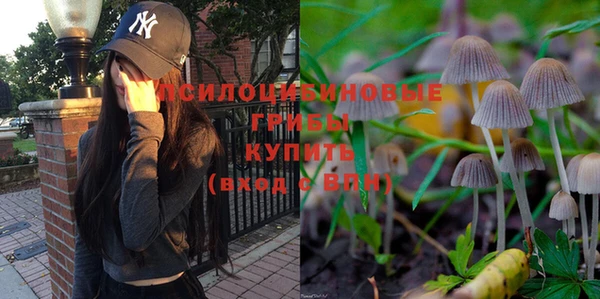 гидропоника Армянск