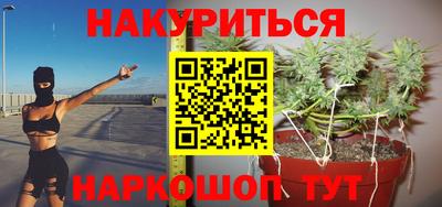 мет Кингисепп