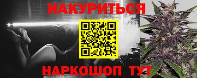 мет Кингисепп