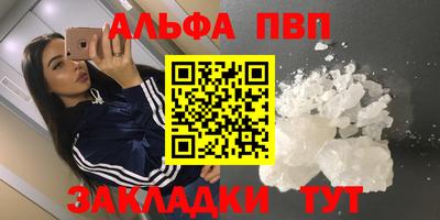 мет Кингисепп