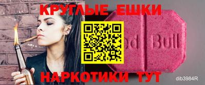мет Кингисепп