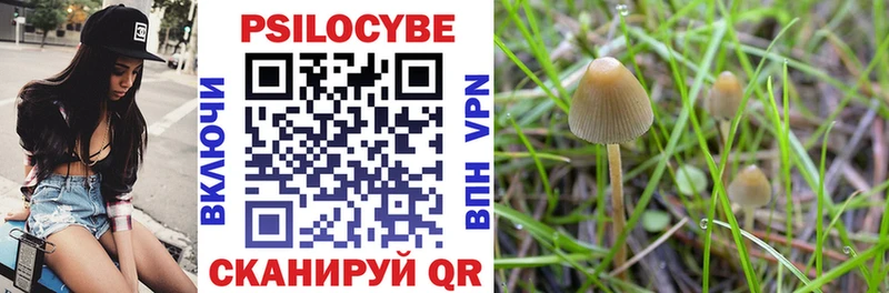 Псилоцибиновые грибы Psilocybine cubensis  Спасск-Дальний 