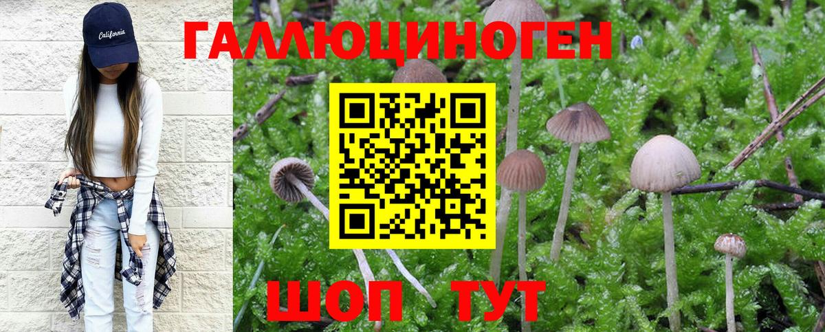 Галлюциногенные грибы GOLDEN TEACHER Спасск-Дальний